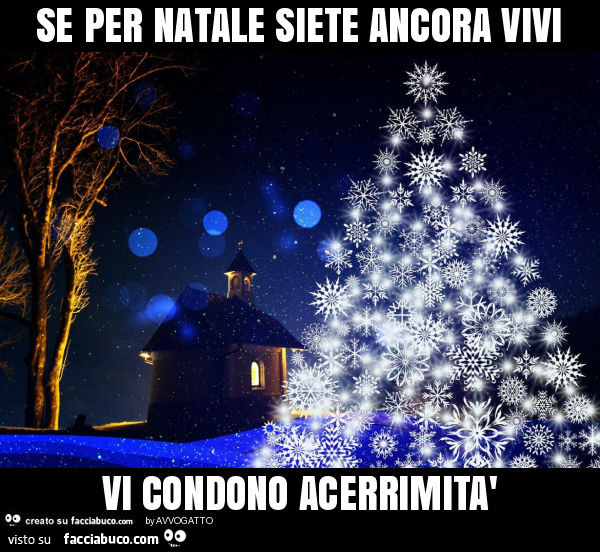 Se per natale siete ancora vivi vi condono acerrimità