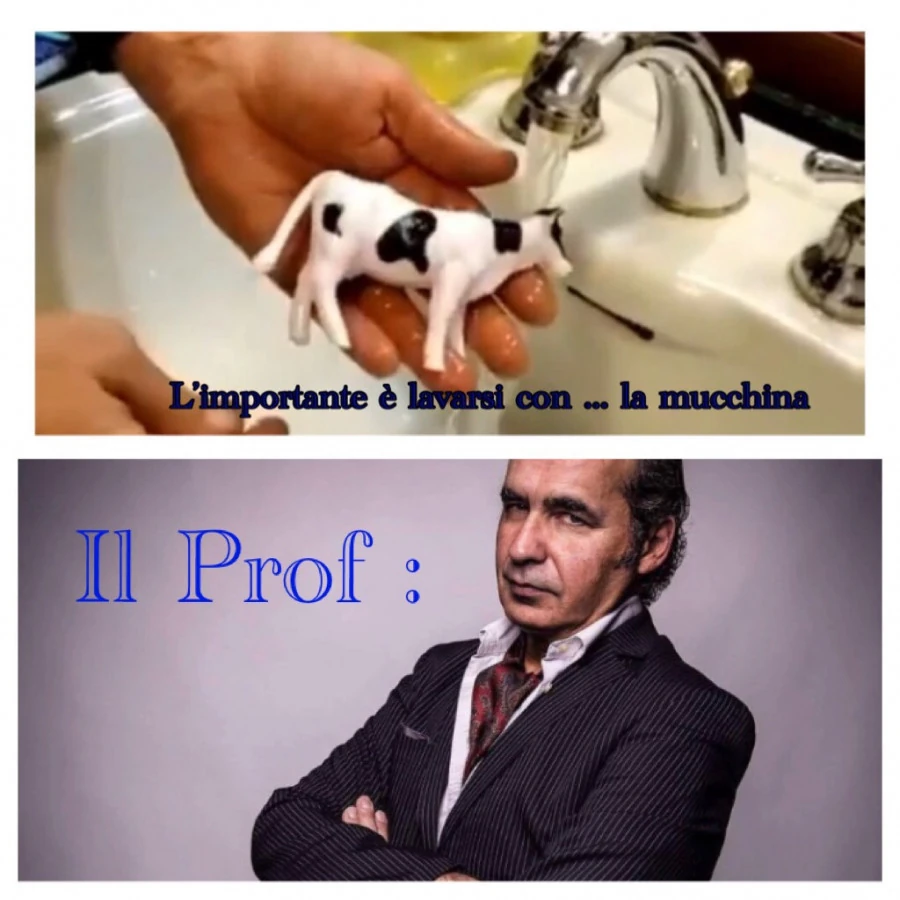 Vaccata