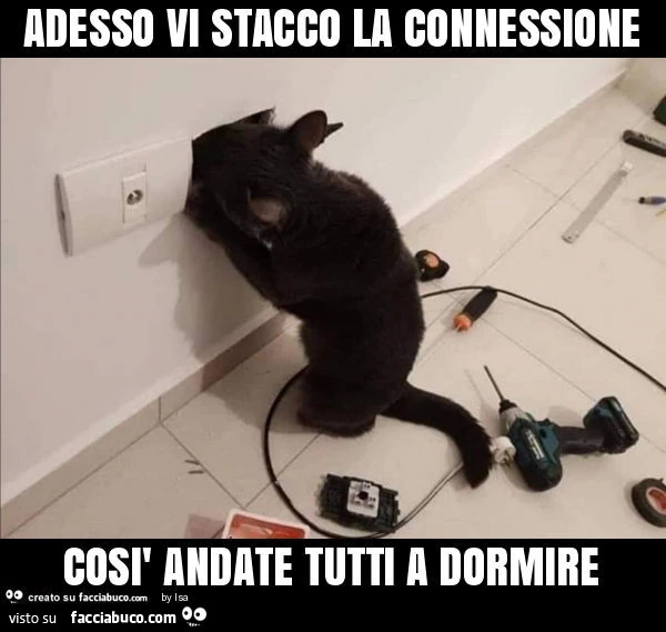 Adesso vi stacco la connessione così andate tutti a dormire
