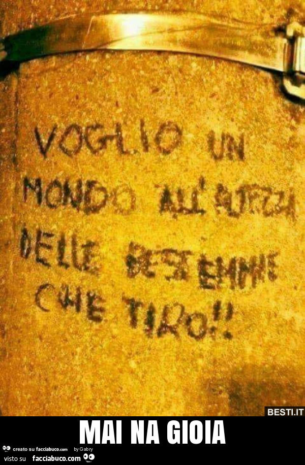 Voglio un mondo all'altezza delle bestemmie che tiro! Mai na gioia