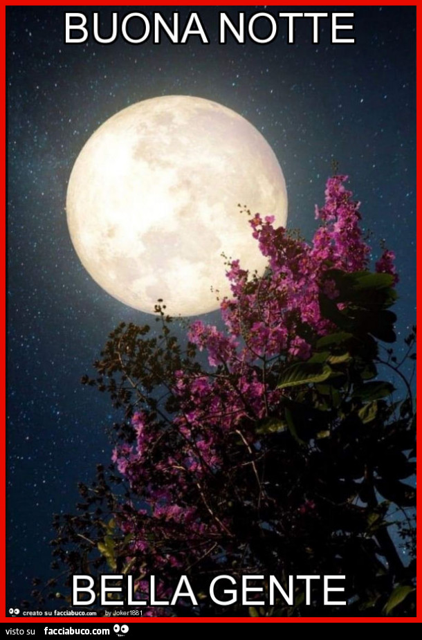 Buona notte bella gente