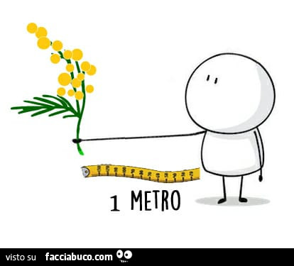 Mimose a un metro di distanza