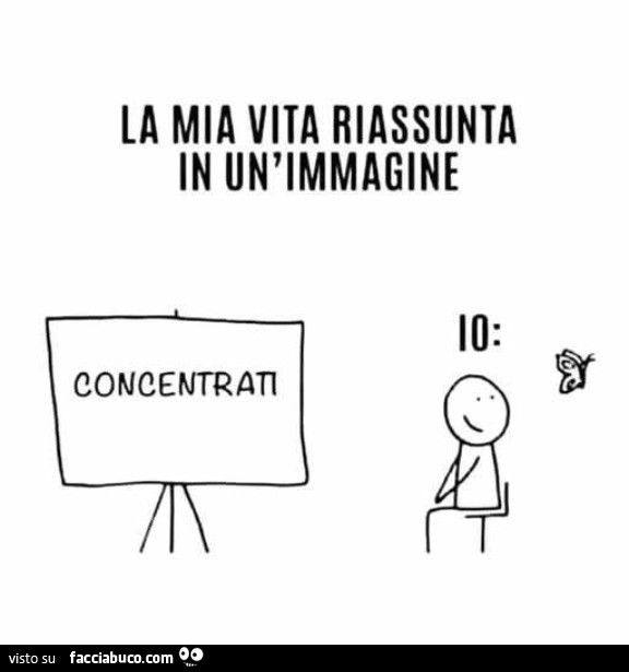 La mia vita riassunta in un'immagine. Concentrati