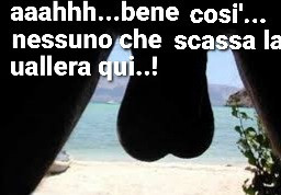 Nessuno scassa la uallera