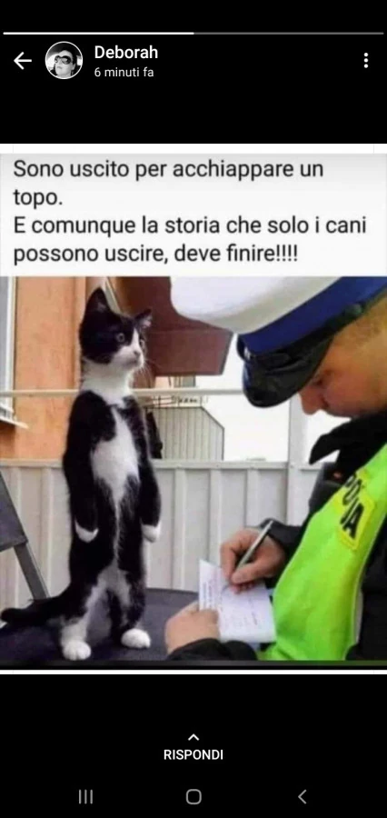 Vaccata