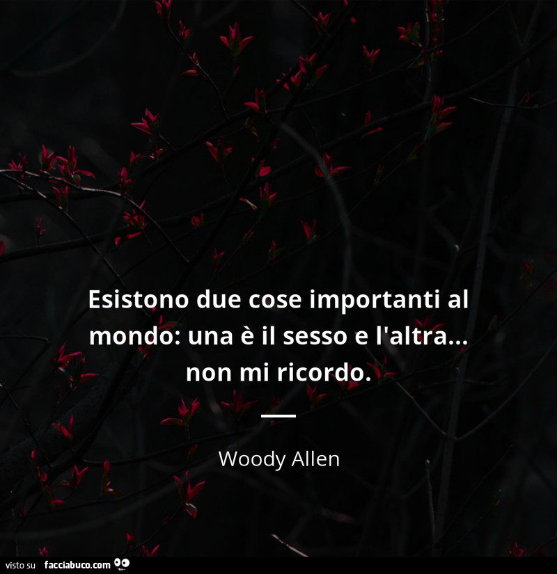 Esistono due cose importanti al mondo: una è il sesso e l'altra… non mi ricordo. Woody Allen