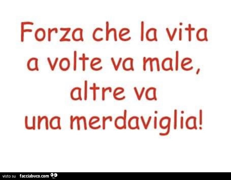 Forza che la vita a volte va male, altre va una merdaviglia