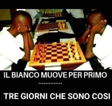 Scacchi