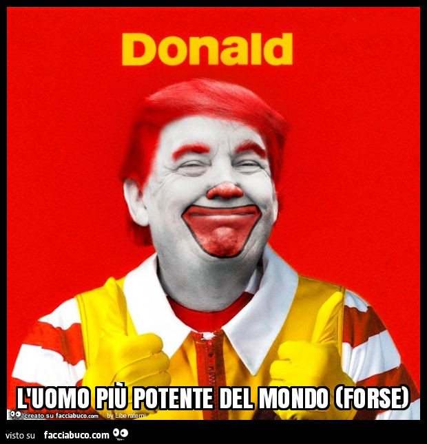 Donald. L'uomo più potente del mondo (forse)