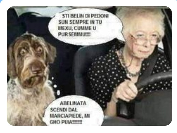 Vecchietta genovese al volante