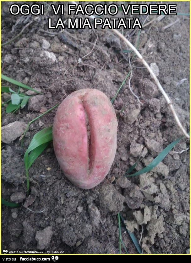 Oggi vi faccio vedere la mia patata