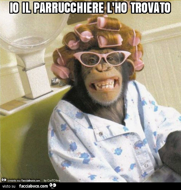 Io il parrucchiere l'ho trovato