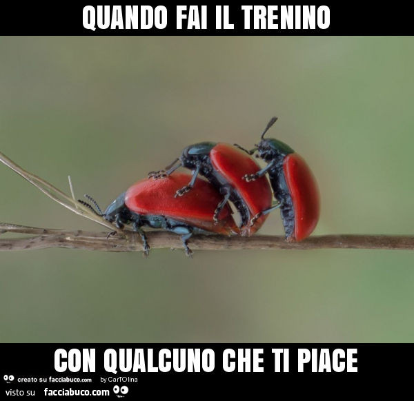 Quando fai il trenino con qualcuno che ti piace