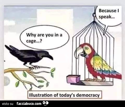 Democrazia