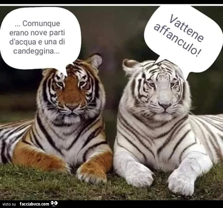 Disinfettanti fai da te