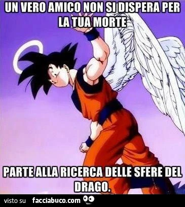 Un vero amico e le sfere del. Drago