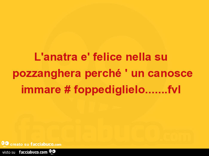 L'anatra è felice nella su pozzanghera perché ' un canosce immare # foppediglielo… fvl