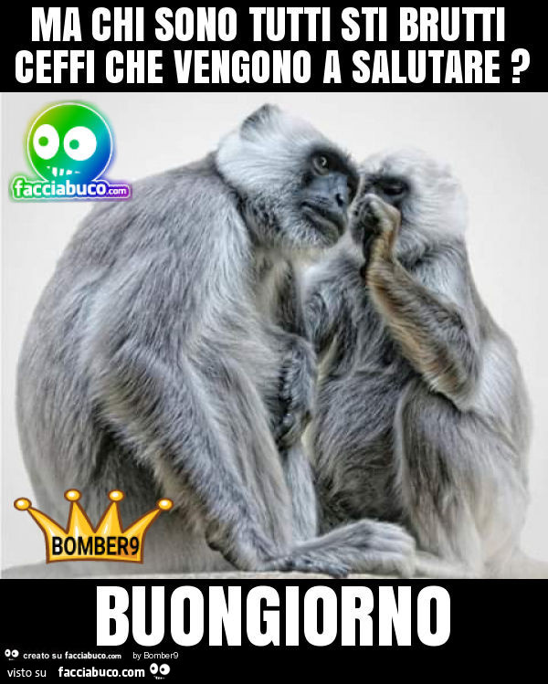 Ma chi sono tutti sti brutti ceffi che vengono a salutare? Buongiorno