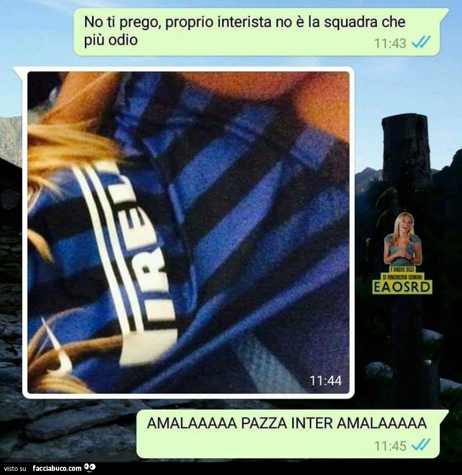 Vaccata