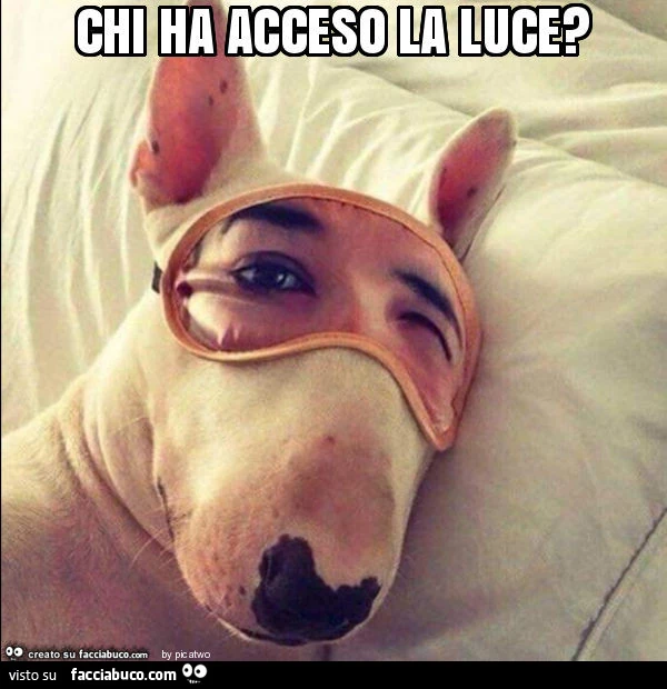 Chi ha acceso la luce?