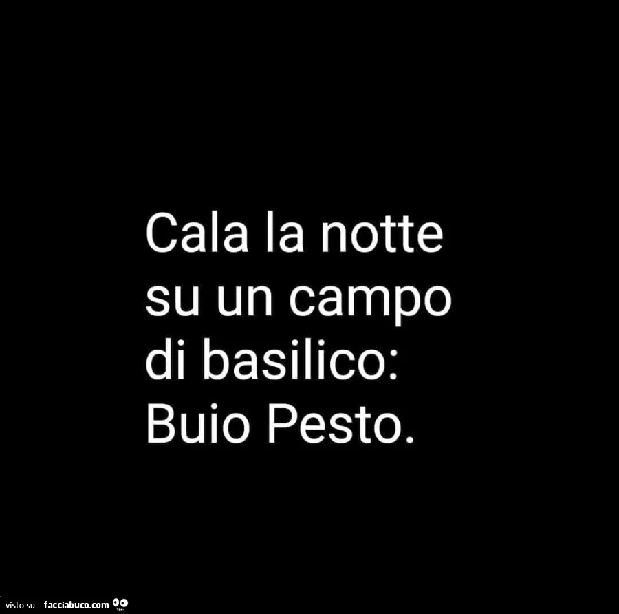 Cala la notte su un campo di basilico: buio pesto