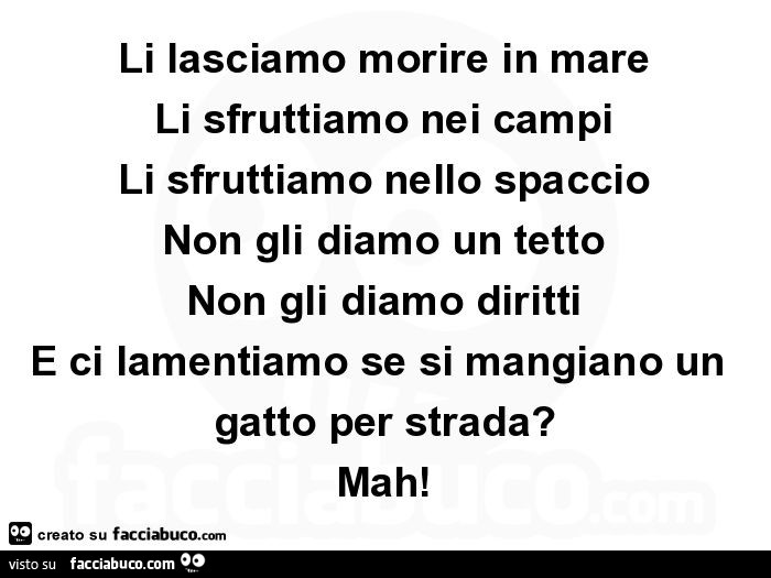 Li lasciamo morire in mare Li sfruttiamo nei campi Li sfruttiamo nello spaccio Non gli diamo un tetto Non gli diamo diritti E ci lamentiamo se si mangiano un gatto per strada? Mah