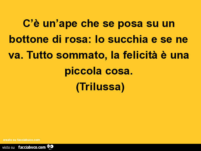 C'è un'ape che se posa su un bottone di rosa: lo succhia e se ne va. Tutto sommato, la felicità è una piccola cosa. Trilussa