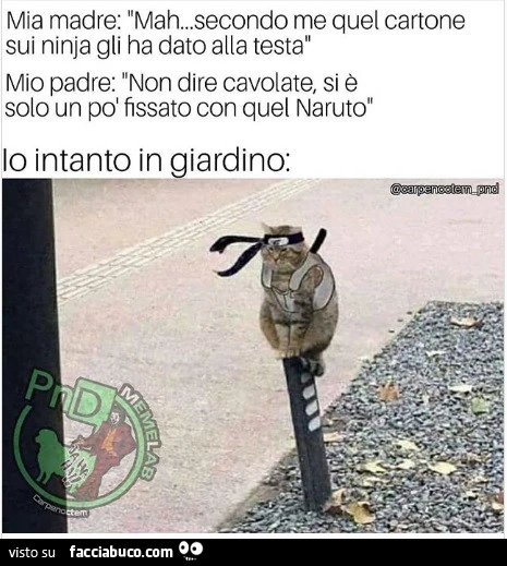 Vaccata