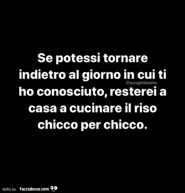 Se potessi tornare indietro al giorno in cui ti ho conosciuto, resterei a casa a cucinare il riso chicco per chicco