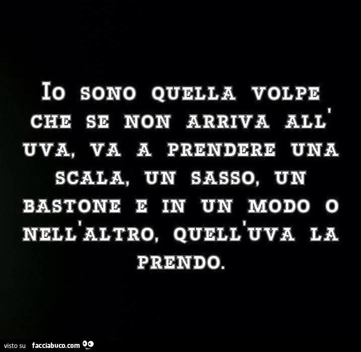 Io sono quella volpe che se non arriva all'uva, va a prendere una scala, un sasso, un bastone e in un modo o nell'altro, quell'uva la prendo