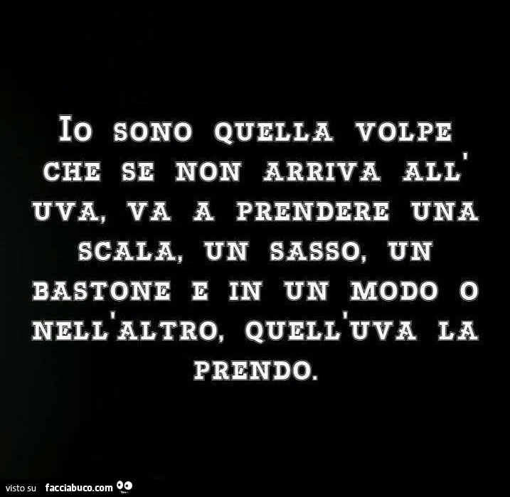 Io sono quella volpe che se non arriva all'uva, va a prendere una scala, un sasso, un bastone e in un modo o nell'altro, quell'uva la prendo