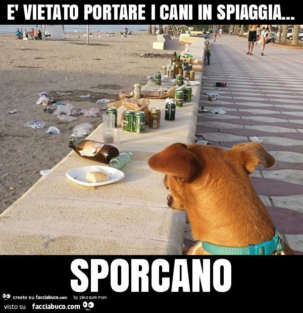 È vietato portare i cani in spiaggia… sporcano