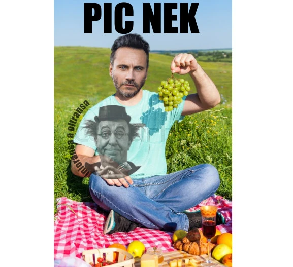 PIC NEK