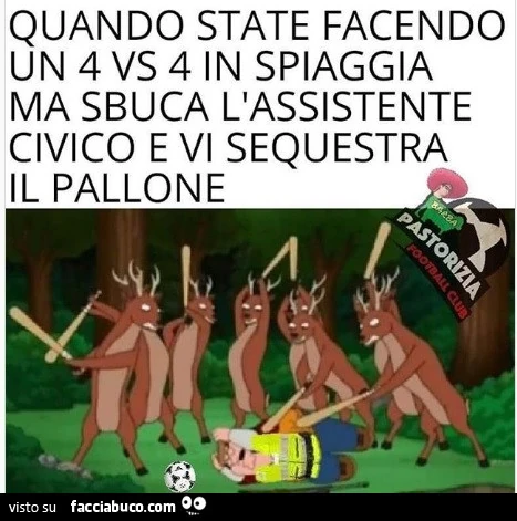 Vaccata