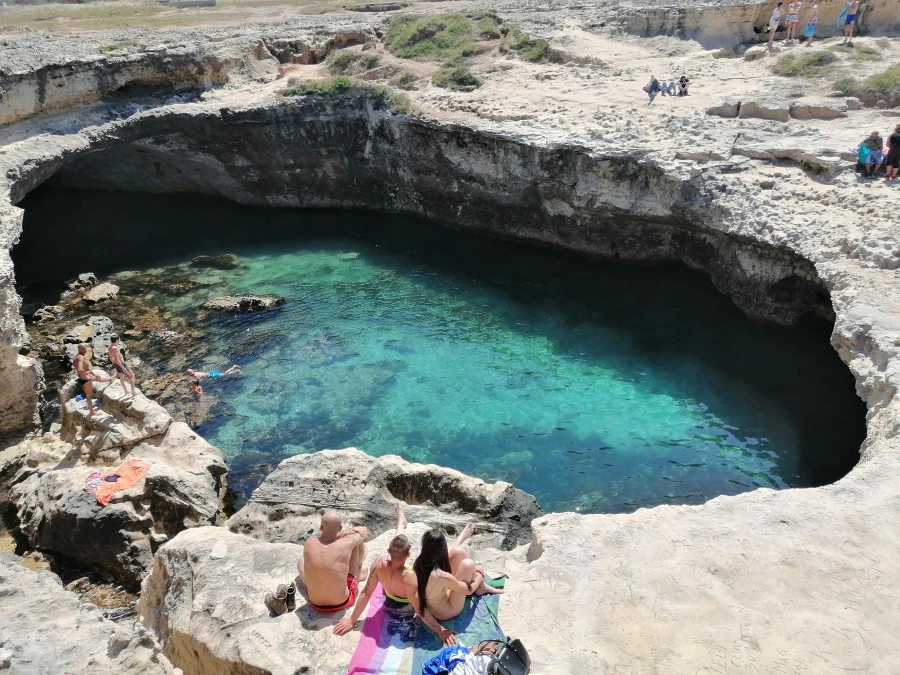 Vaccata