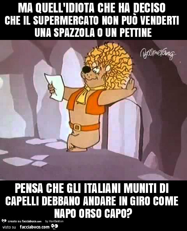 Ma quell'idiota che ha deciso che il supermercato non può venderti una spazzola o un pettine pensa che gli italiani muniti di capelli debbano andare in giro come napo orso capo?