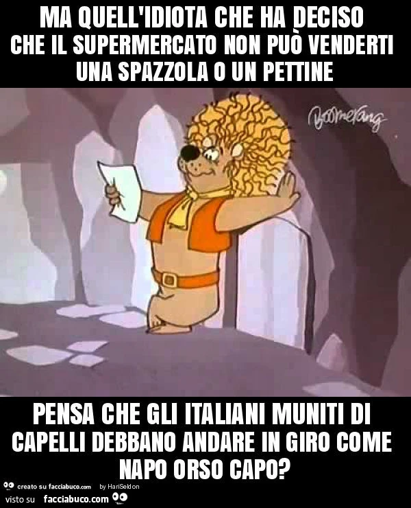 Ma quell'idiota che ha deciso che il supermercato non puรฒ venderti una spazzola o un pettine pensa che gli italiani muniti di capelli debbano andare in giro come napo orso capo?