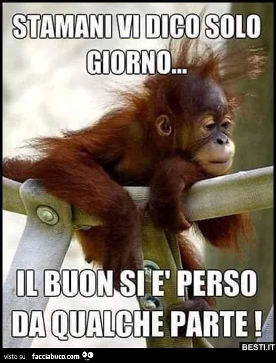 Buongiorno