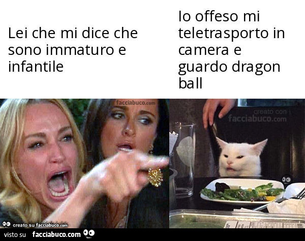 Lei che mi dice che sono immaturo e infantile Io offeso mi teletrasporto in camera e guardo dragon ball