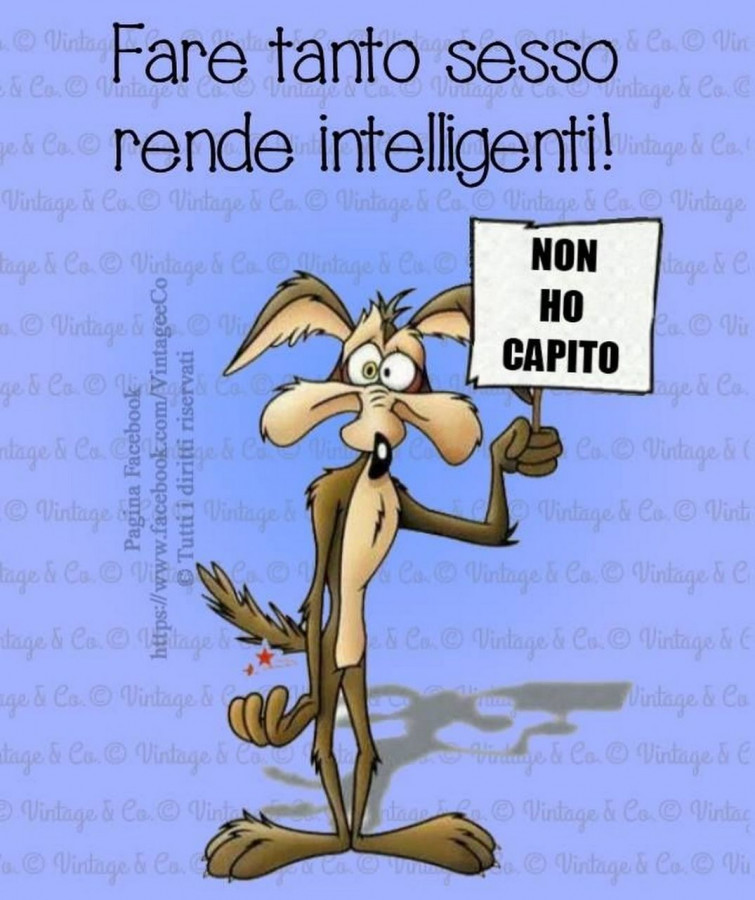 Sesso
