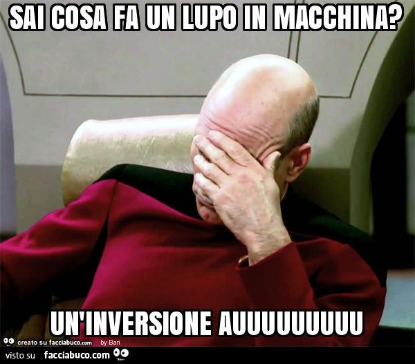 Sai cosa fa un lupo in macchina? Un'inversione auuuuuuuuu