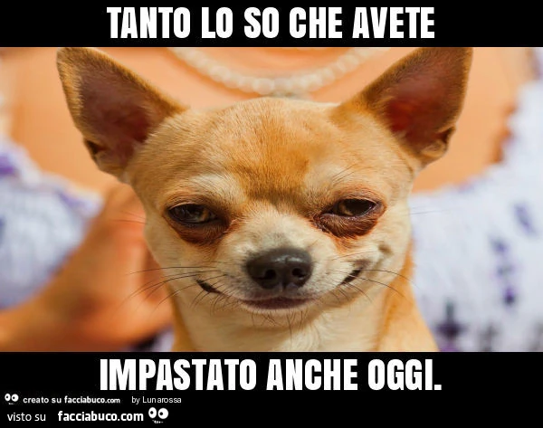 Tanto lo so che avete impastato anche oggi
