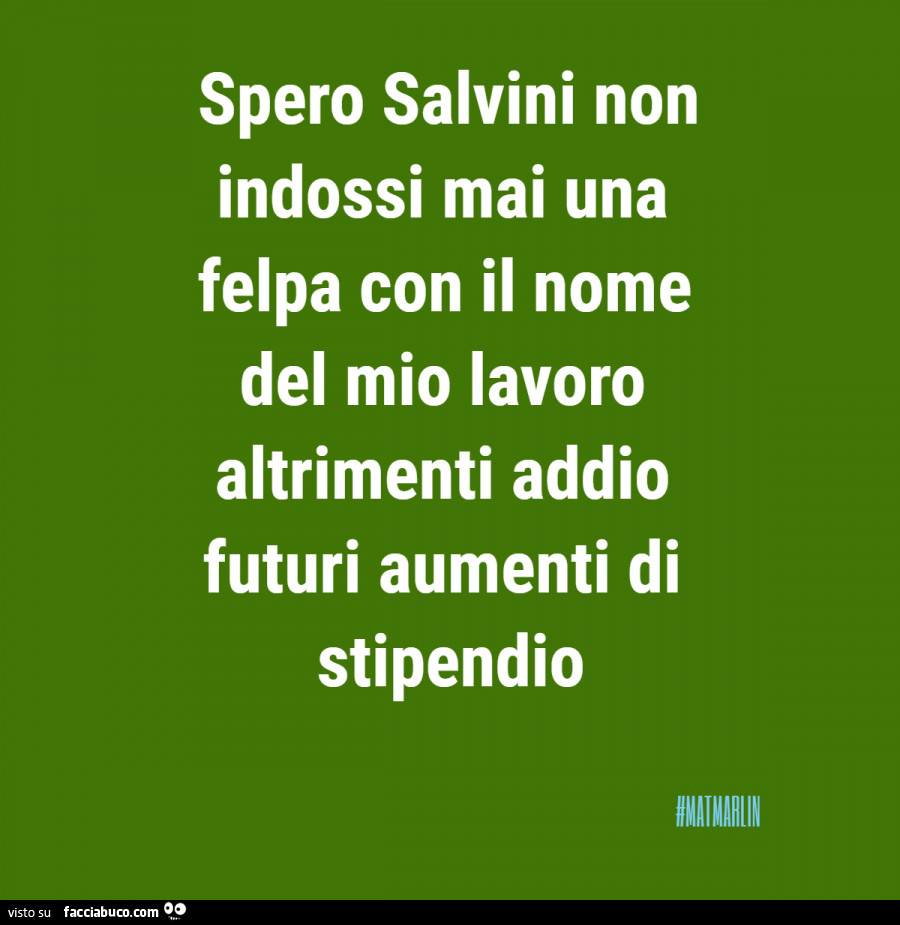 Spero salvini non indossi mai una felpa con il nome del mio lavoro altrimenti addio futuri aumenti di stipendio