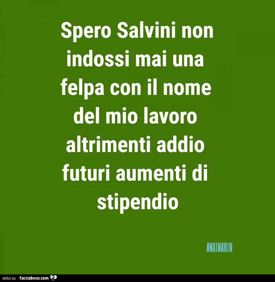 Spero salvini non indossi mai una felpa con il nome del mio lavoro altrimenti addio futuri aumenti di stipendio