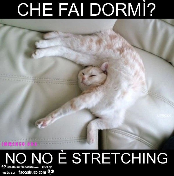 Che fai dormì? No no è stretching
