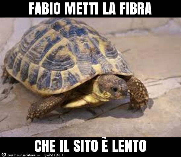 Fabio metti la fibra che il sito è lento
