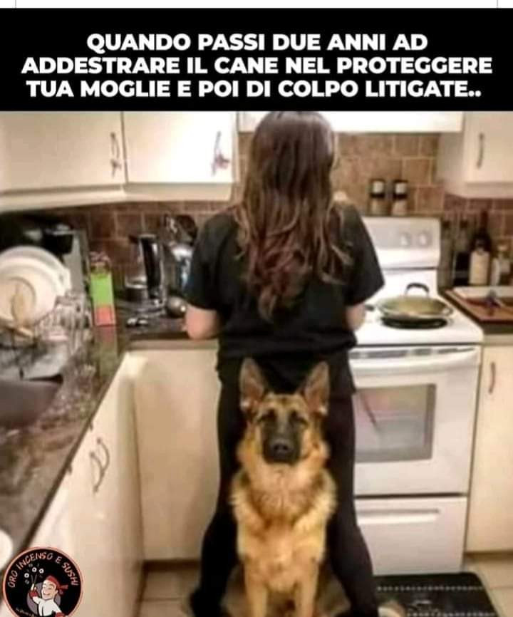 Cane da difesa