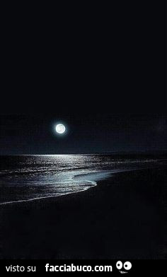 Luna Sul Mare Di Notte Facciabuco Com