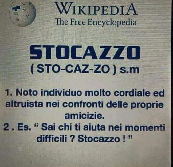 Wikipedia ci spiega chi è Stocazzo