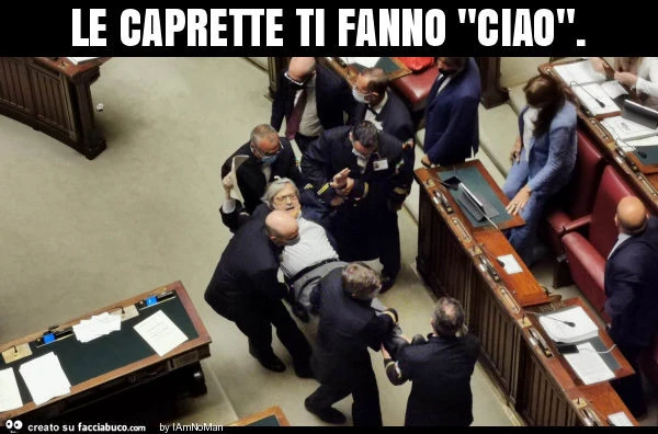 Le caprette ti fanno "ciao"